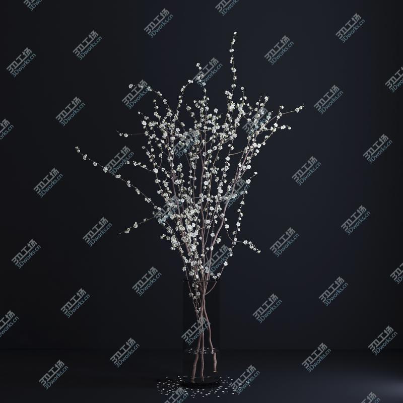 images/goods_img/2021040164/Prunus White Blossom/2.jpg